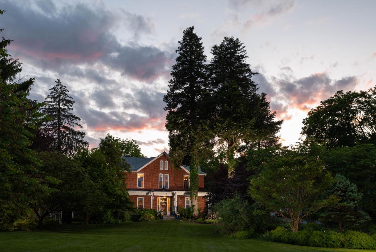 South Court Inn Luray Exteriör bild