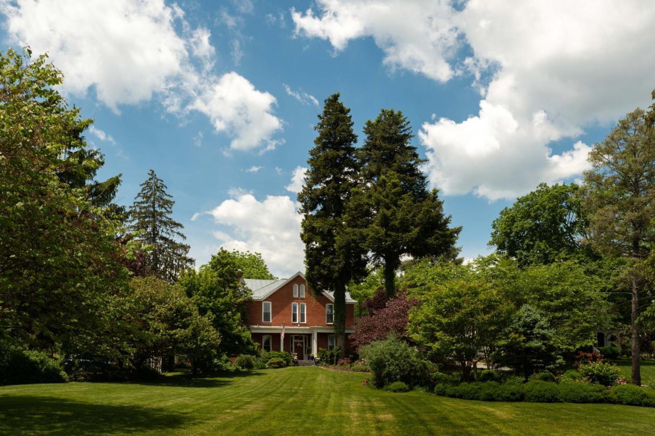 South Court Inn Luray Exteriör bild